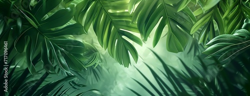 background with grass