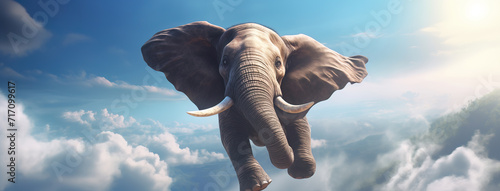 Photographie Elephant Flying in the Clouds