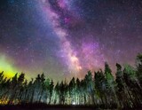 Aurora Purple and MilkyWay Galaxy Time Lapse Over Forest Tilt Up