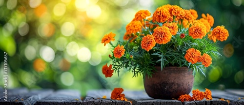 A vibrant marigold blooms in a cheerful orange flowerpot, adding a touch of sunny warmth to any indoor or outdoor space photo