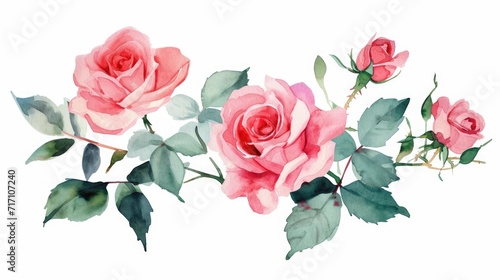 A painting of pink roses on a white background. Perfect for adding a touch of elegance to any project © Fotograf
