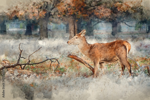 Digital watercolour paintin...