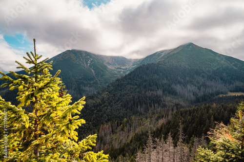 Gesia Szyja rock - Tatra mountains, Poland photo