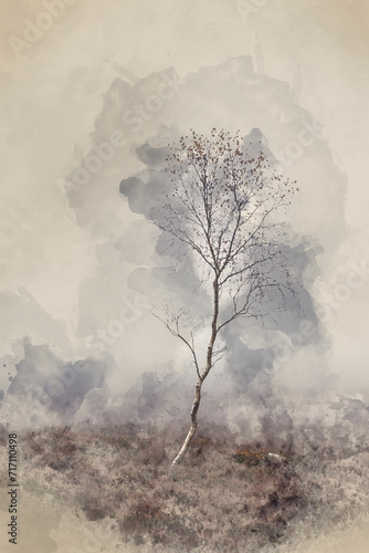 Digital watercolour painting of Beautiful dramatic foggy landscape image of trees on the edge of a draamtic forest in Peak District