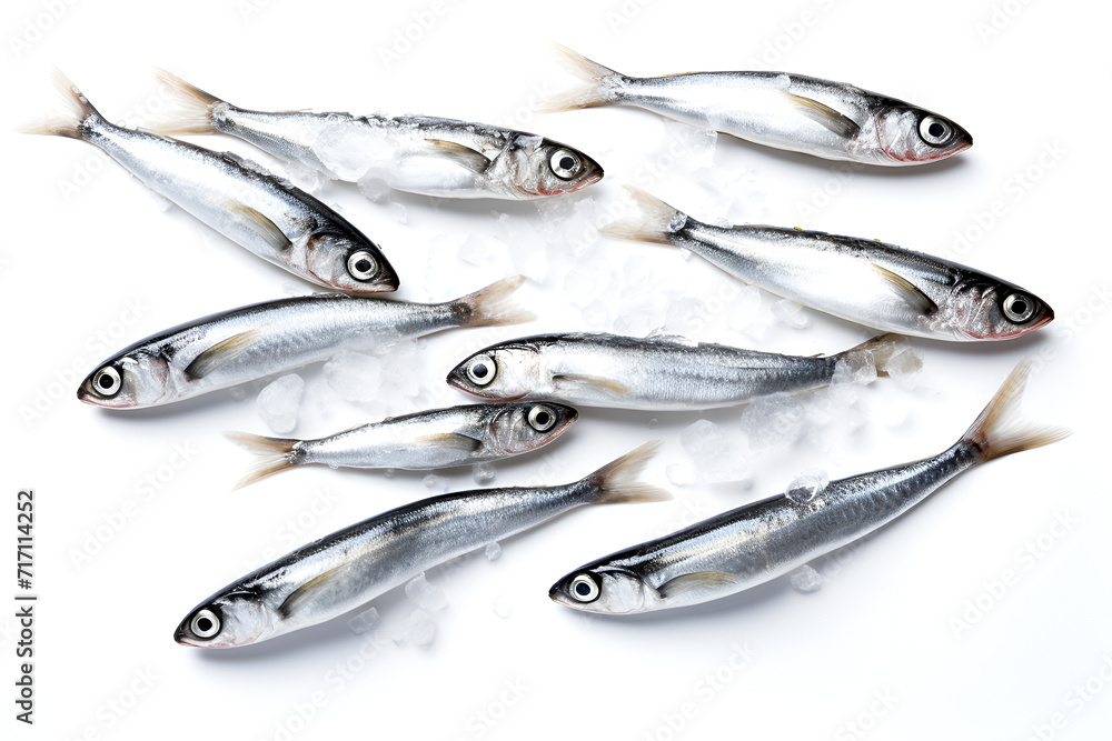 Fresh anchovies on ice, natural omega3 source, white background
