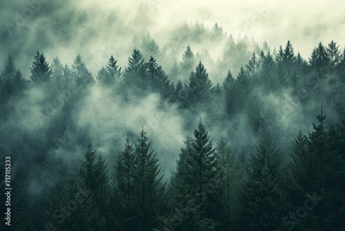 Misty landscape with fir forest in hipster vintage retro style © Sardar