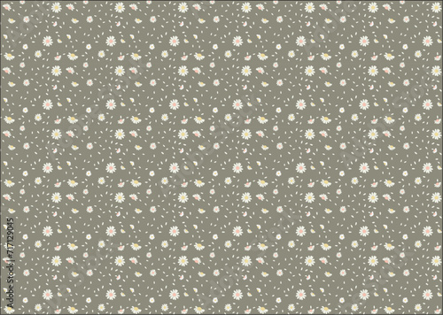 Obraz na płótnie Daisy flower vector pattern, hand drawn flowers, vector illustration. Cute summer wallpaper.
Floral background. w salonie