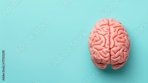 Human brain model against a light blue background
