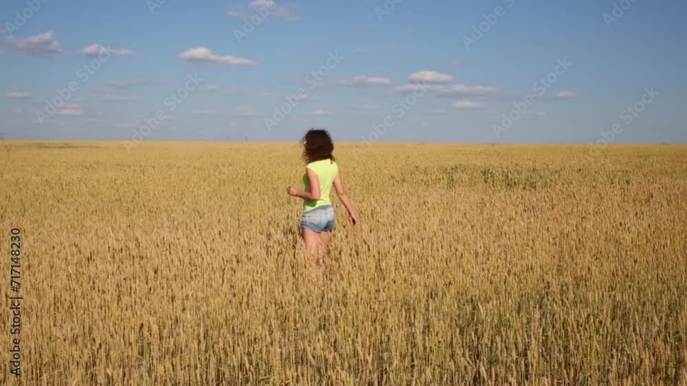 Back of woman in shorts on yellow wheat field at summer day Back of woman in shorts on yellow wheat field at summer day