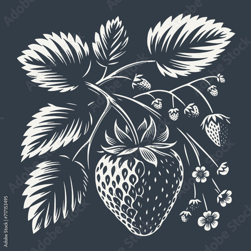 Strawberry on a branch with leaves. Vintage woodcut style vector illustration on dark background.