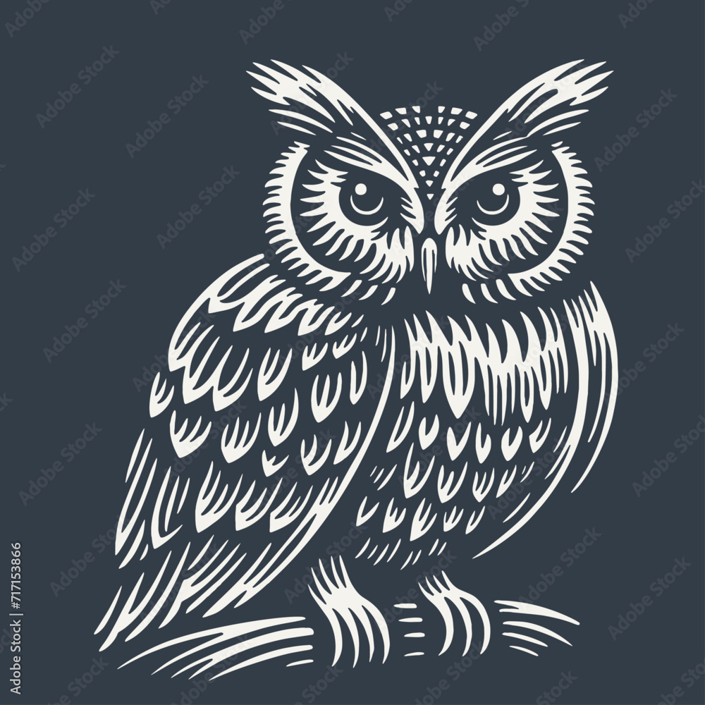 Obraz premium Owl. Vintage woodcut style vector illustration on dark background.