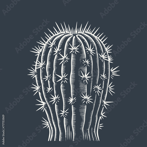 Cactus. Vintage woodcut style vector illustration on dark background.