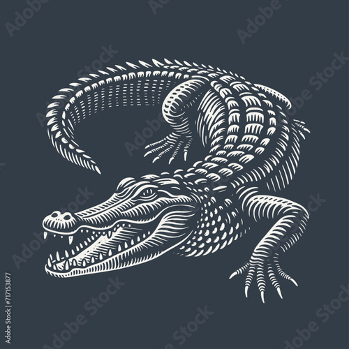 Crocodile. Vintage woodcut style vector illustration on dark background.