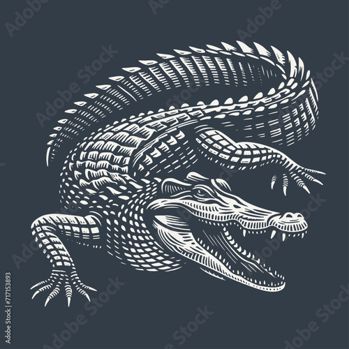 Crocodile. Vintage woodcut style vector illustration on dark background.