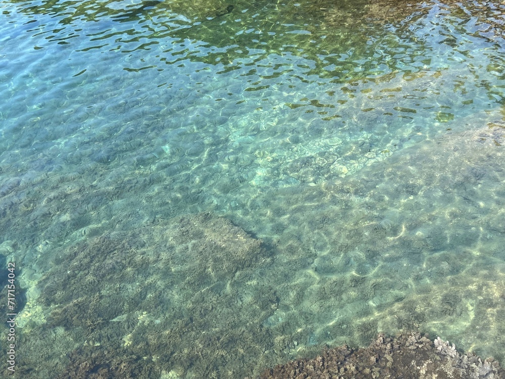 Transparent sea water with seaweed on the seabed.