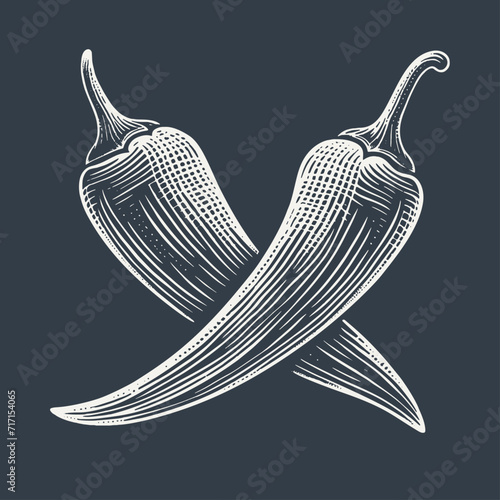 Chilli peppers. Vintage woodcut style vector illustration on dark background.