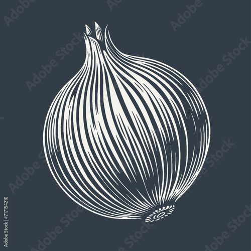 Onion. Vintage woodcut style vector illustration on dark background.