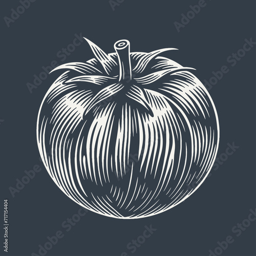 Tomato. Vintage woodcut style vector illustration on dark background.