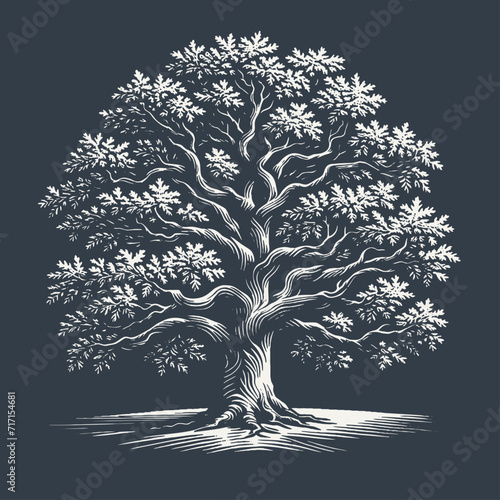 Oak tree. Vintage woodcut style vector illustration on dark background.