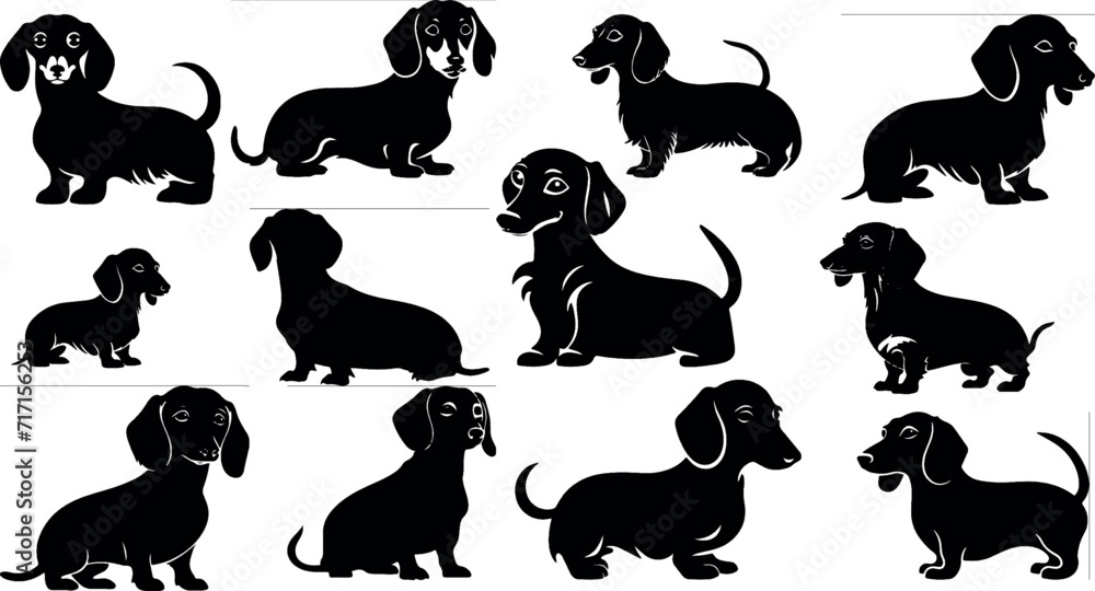 Dachshund silhouette. cute dog, great set collection clip art Silhouette , Black vector illustration on white background 