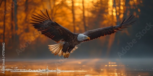 Mystical Flight: Bald Eagle Soars Intuitively Through Dense, Scalding Fog, Amplifying the Glory of a  Golden Hour, Generativ AI