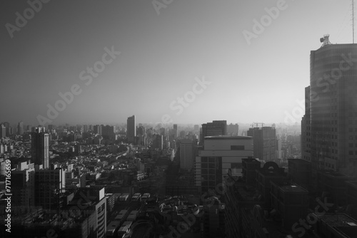 The once bustling metropolis, now shrouded in mist, reveals a future tinged with decline