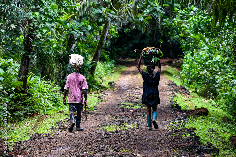Ταπετσαρία Bäuerinnen auf dem Heimweg vom Feld auf Sao Tome