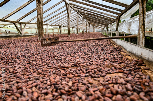 Trocknen von Kakaobohnen auf Sao Tome