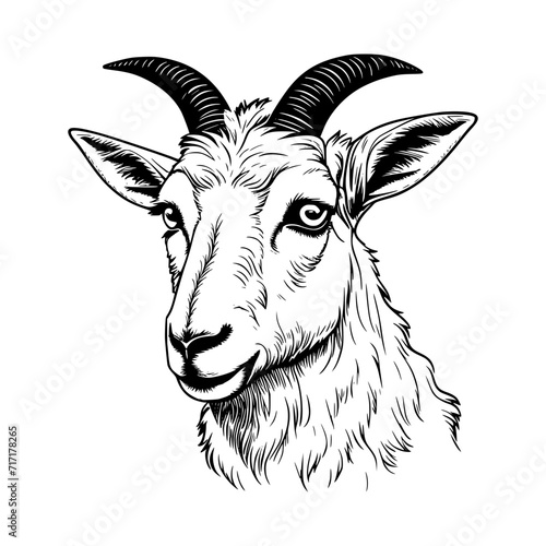 Goat Vector illustration Black Silhouette  © CreativeDesigns