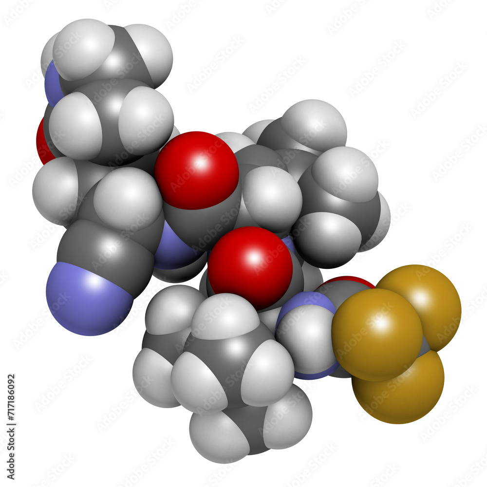 Nirmatrelvir (PF-07321332) antiviral drug molecule. 3D rendering. Nirmatrelvir (PF-07321332) antiviral drug molecule. 3D rendering.