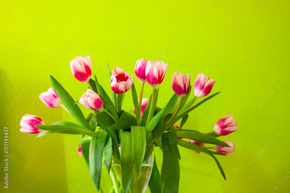 Tulips bouquet. Spring decor or present for International Women's Day, birthday, Mother's day.