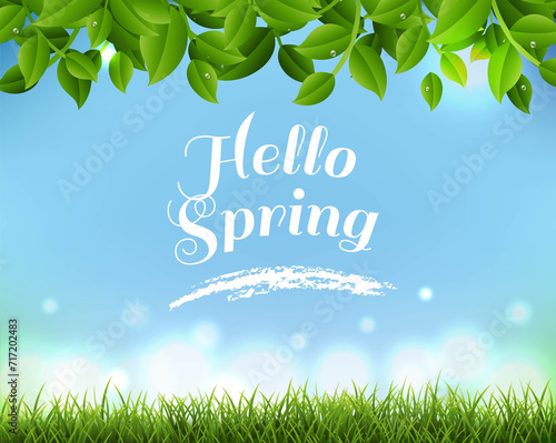 Spring Time Poster With Grass
