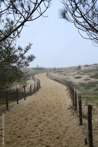 A small sand path along the Ocean. Cap Ferret  France - January 23  2024.
