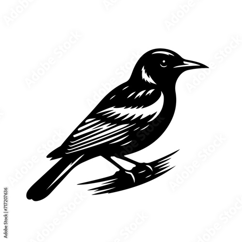 oriole reflecting the rich biodiversity of its homeland Vector Logo Art