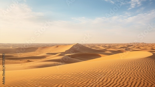 Endless Sands: Nature's Vast Desert Canvas © Pavlo