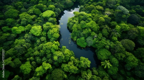 Jungle Rhythms: A River's Melodic Flow