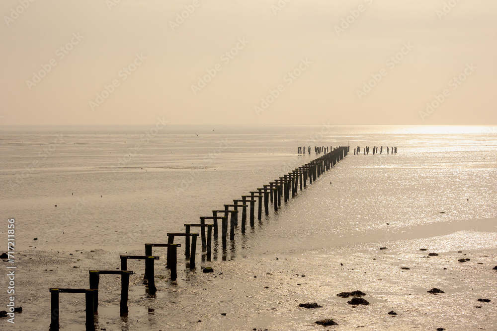 Summer landscape, Old and damaged wooden bridge in the sea with warm sunlight in morning (Landschapskunstwerk De Streken) Dutch Wadden Sea island in the northern Friesland, Terschelling, Netherlands.