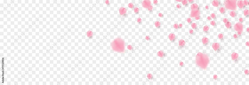 Vector rose petals png. Flying sakura or rose petals. Petals png.