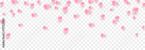 Vector rose petals png. Flying sakura or rose petals. Petals png.