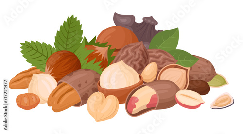 Nuts and seeds handful. Raw seeds bunch, almond, peanut, cashew and walnut mix, vegetarian diet organic mix flat vector illustration. Organic nuts mix