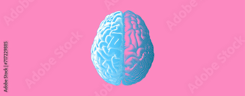 Stylized hemispheres brain drawing illustration with blue and pink color tone photo