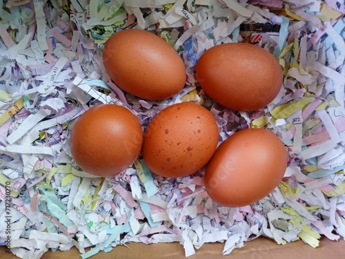 a bunch of chicken eggs in a cardboard box covered with pieces of paper. whole raw egg. brown shell eggs. Close up photo