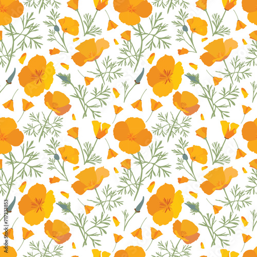 California yellow poppy seamless pattern
