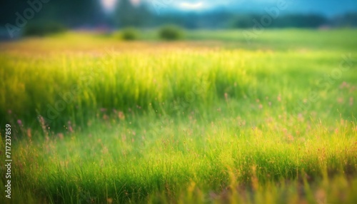 Blur field texture