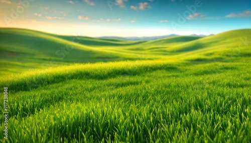 Texture grass field