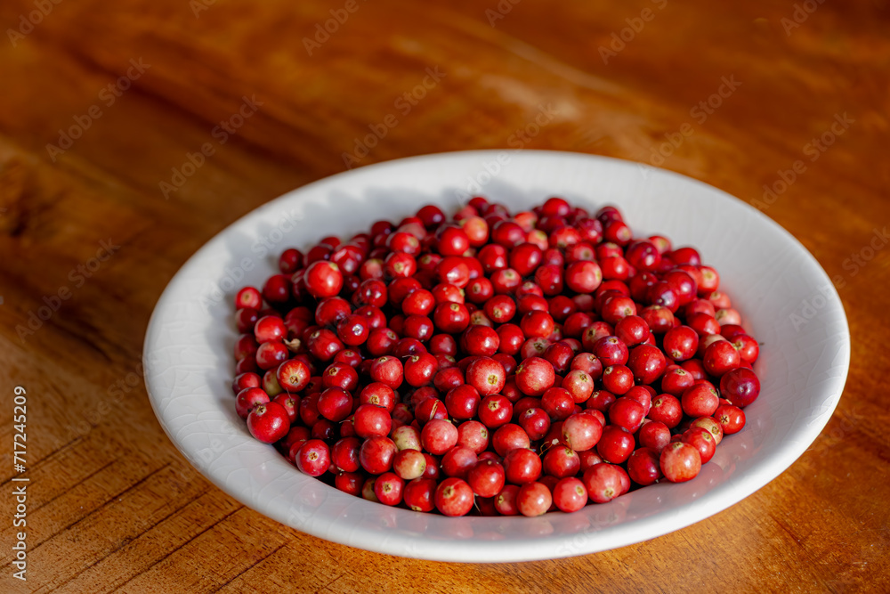Selective focus of red ripe cranberry in white plate on wooden table as background, Cranberries are a group of evergreen dwarf shrubs or trailing vines in the subgenus Oxycoccus of the genus Vaccinium Selective focus of red ripe cranberry in white plate on wooden table as background, Cranberries are a group of evergreen dwarf shrubs or trailing vines in the subgenus Oxycoccus of the genus Vaccinium