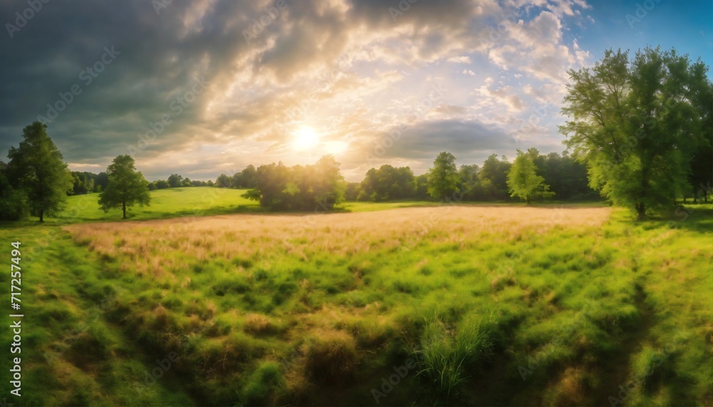 Obraz premium Panoramic view of a field covered in grass and trees under sunlight and a cloudy sky