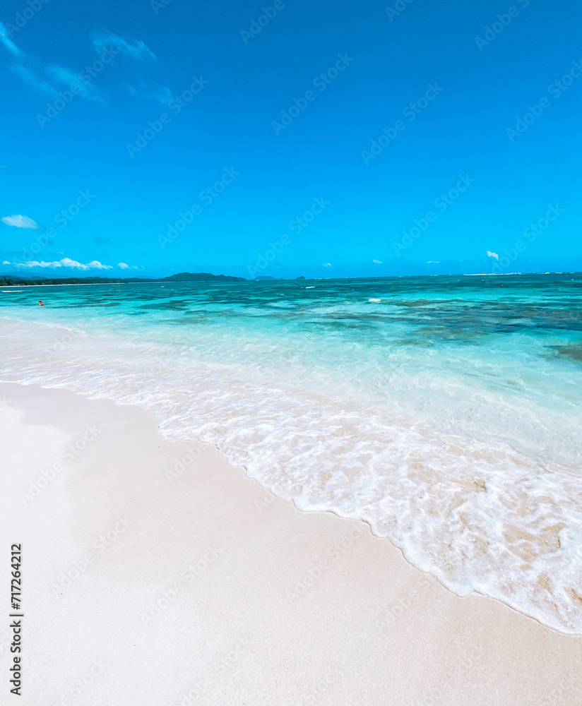 beach - hawaii 