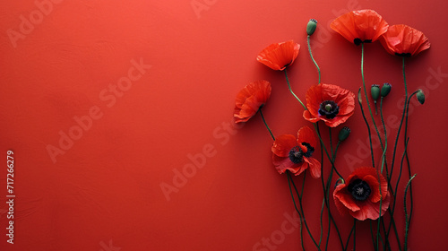 A simplistic design of poppies on a stark, contrasting background, Valentine's Day, Flat lay, top view, aesthetic background, with copy space