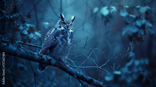A great horned owl perched on a branch under the moonlight. World wildlife day concept